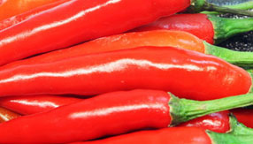 ddos压力测试网页端