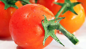 安卓ddos攻击工具